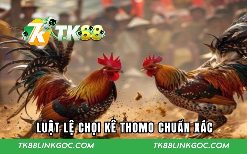 Luật lệ chọi kê Thomo chuẩn xác