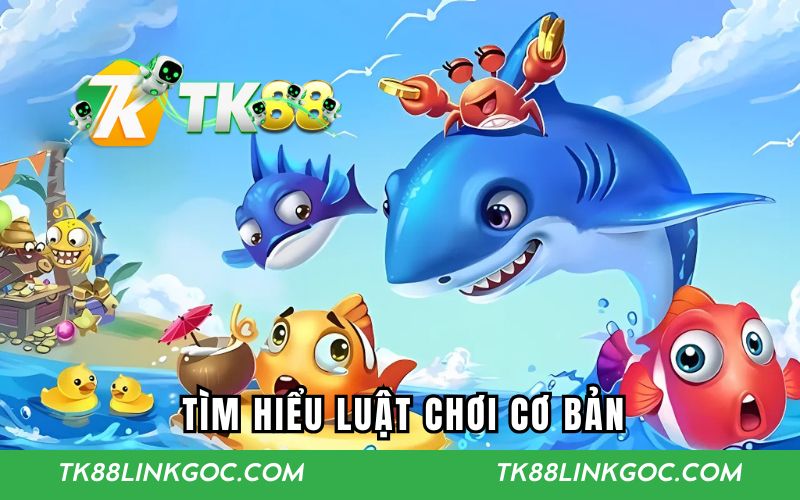 Tìm hiểu luật chơi cơ bản