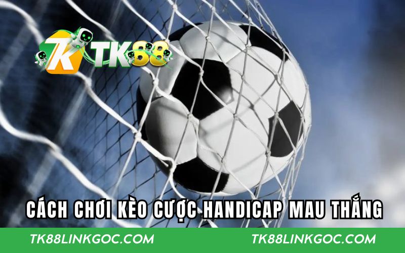 Chia sẻ chi tiết cách chơi kèo cược handicap mau thắng
