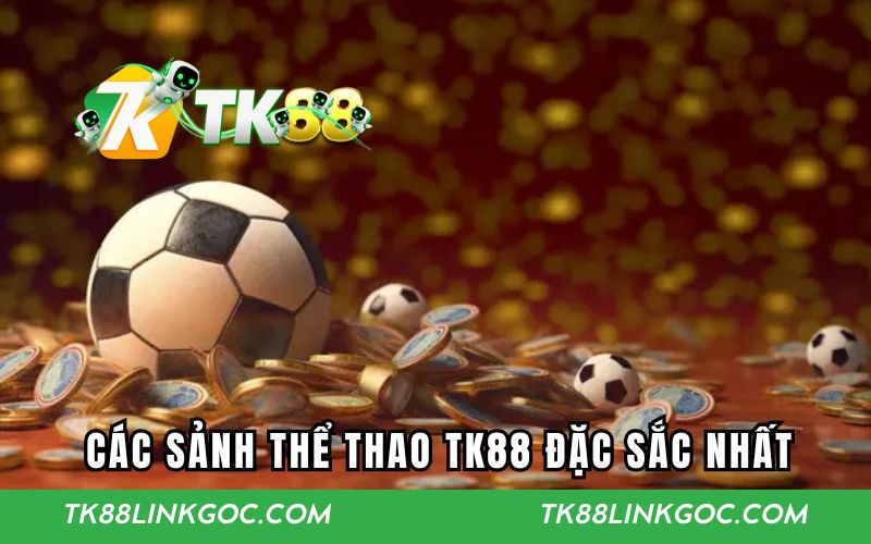 Top các sảnh thể thao TK88 đặc sắc hàng đầu thị trường